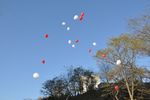 Отпущеные надувные шары поднялись высоко над домом