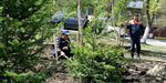 Молодые пихты, ели, сосны и барбарисы появились в сквере им.Блюхера