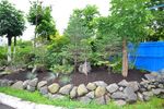Сад камней на ул. Днепровская,24