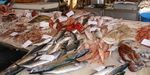 На Корабельной Набережной откроется рыбный рынок