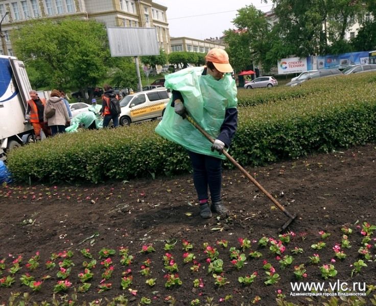Кольцо Инструментального завода украсили цветами