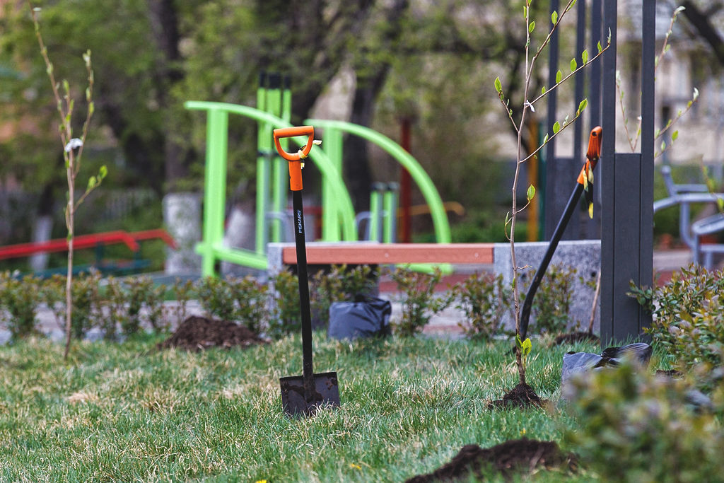 Магнолии высадили в сквере Веры и надежды