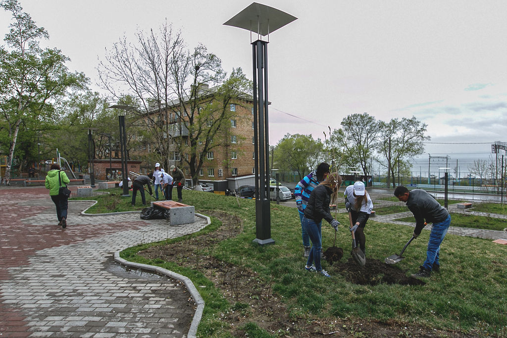 Магнолии высадили в сквере Веры и надежды