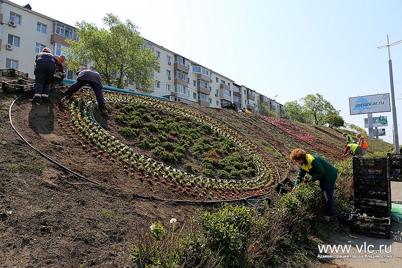Цветы снова украсили надпись &laquo;Владивосток&raquo; в районе "Молодежной"