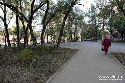 Новый сквер