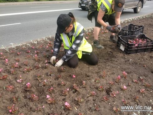 Высадка цветов