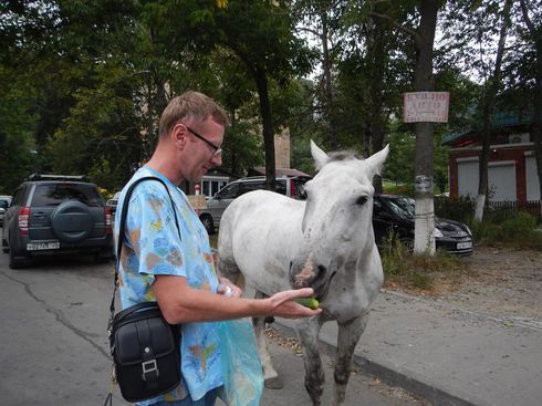 "Конь-потеряшка"