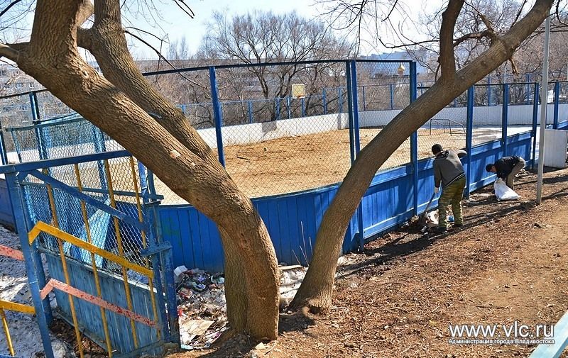 Хоккейные коробки на лето сменят назначение