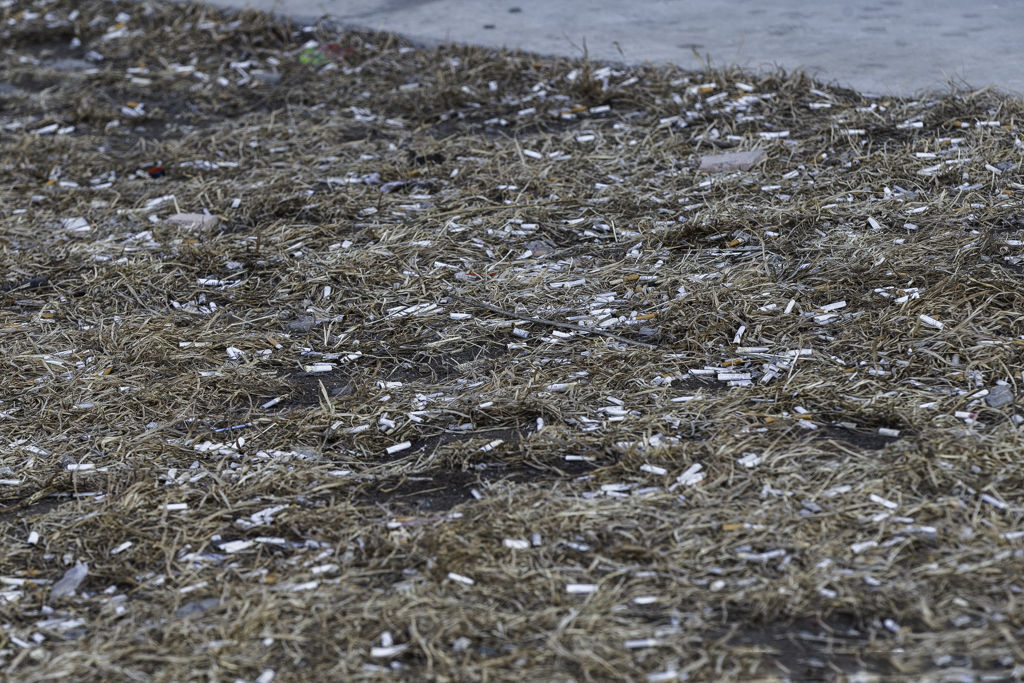 Снеговая Падь