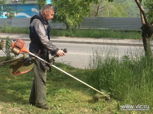 Стрижка газонов и кустов