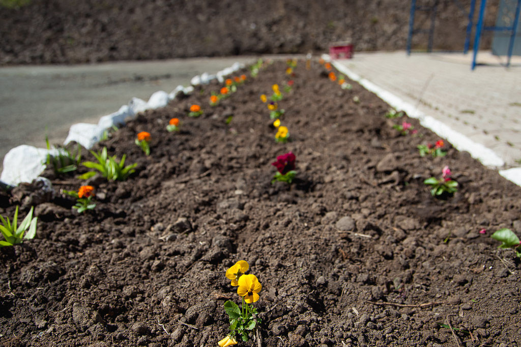 Субботник в Первореченском районе Владивостока