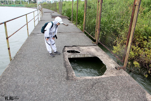 Разрушенные дорожки. Автор фото: vl.ru