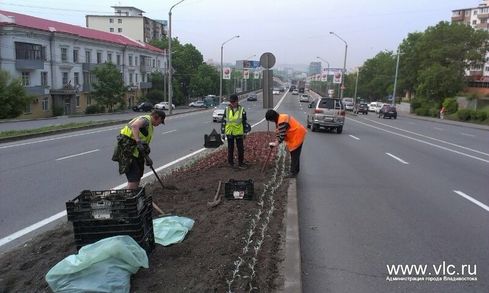 Работы по высадке цветов