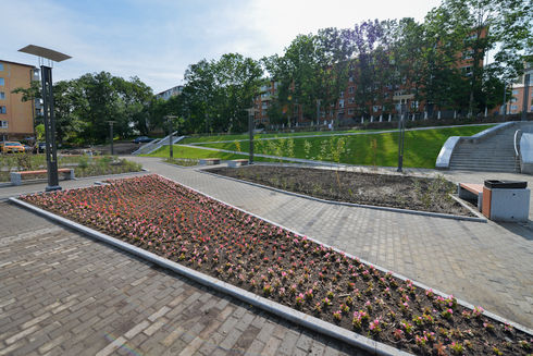 На клумбах сквера высажены цветы